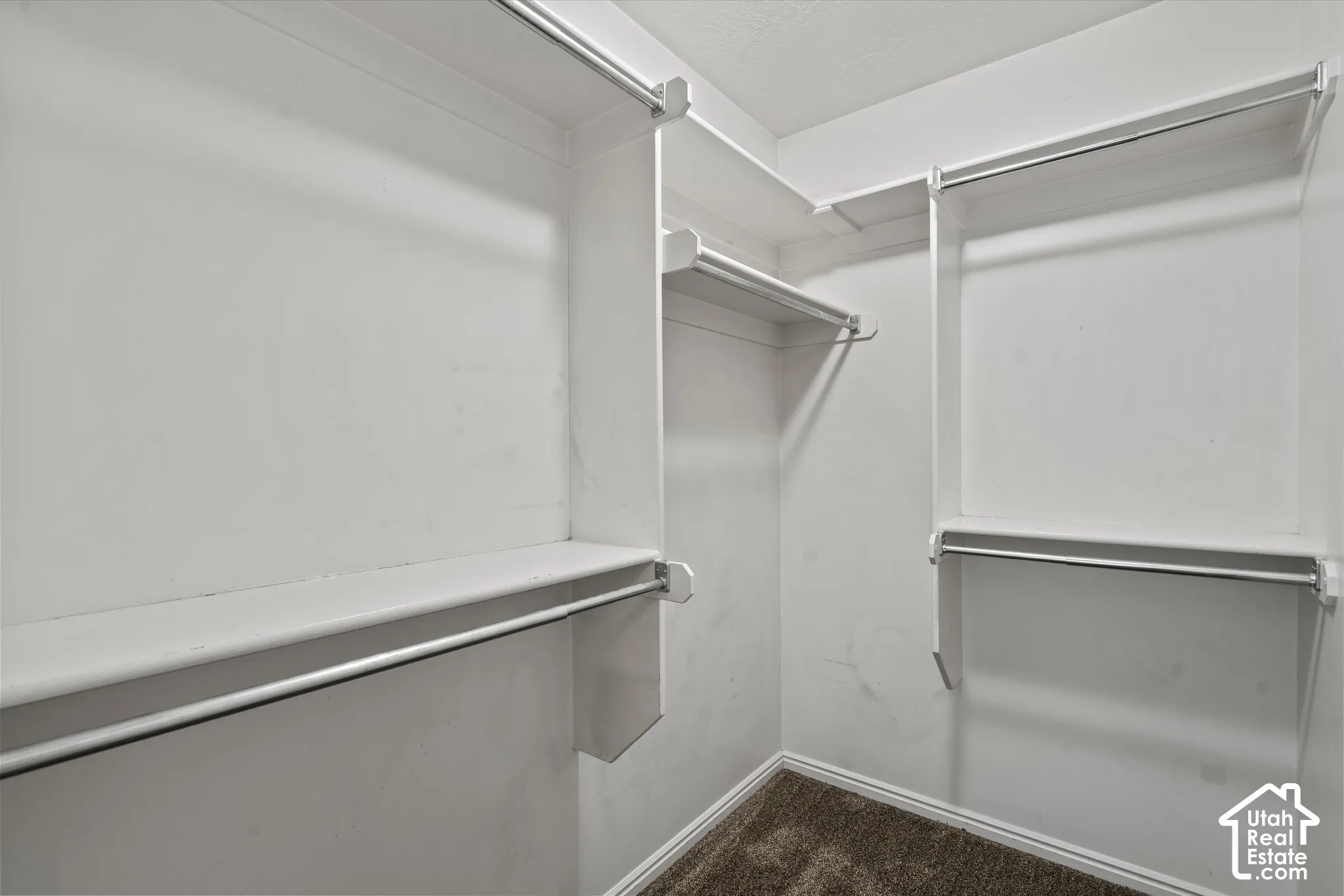 Walk-in closet with carpet flooring, white walls, and built-in shelving and hanging rods