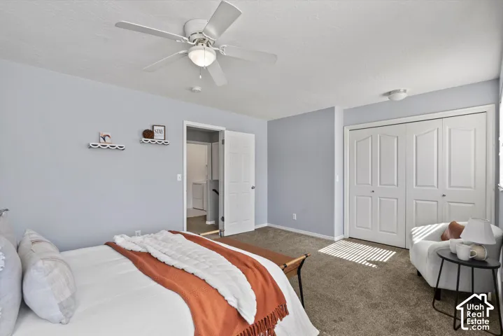 Room featuring a ceiling fan with integrated lighting, two bi-fold closet doors, and carpeting