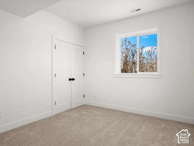 Plush carpeted flooring, white walls, and a window with white trim