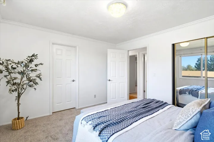 Wall-to-wall carpeting, crown molding, and a flush mount ceiling light
