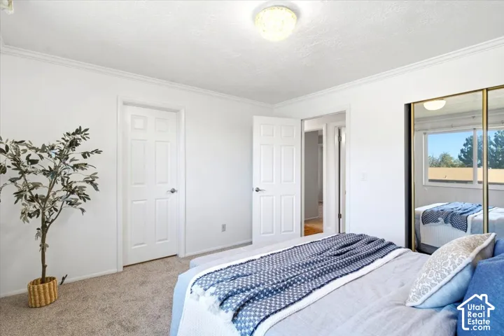 Wall-to-wall carpeting, crown molding, and a flush mount ceiling light