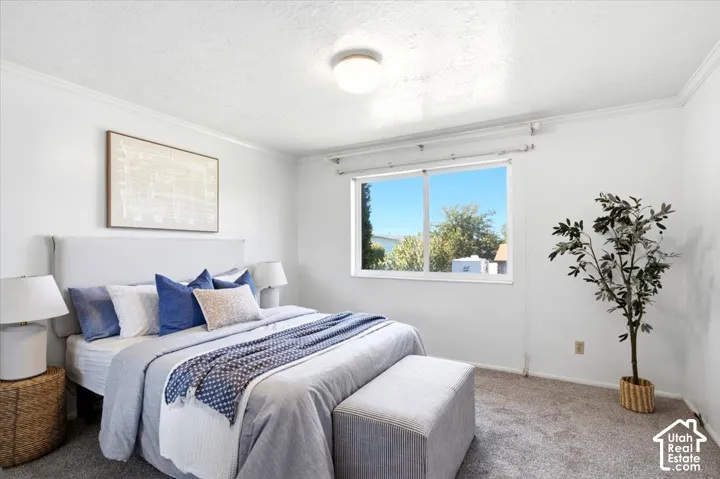 Neutral white wall paint, crown molding, double-pane window, and carpeted flooring