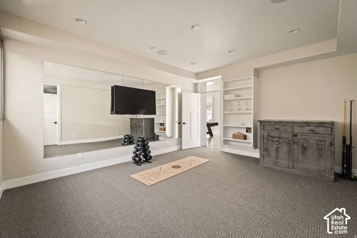 Wall-mounted mirror, recessed lighting, built-in shelving, carpet flooring, and a flat-panel display