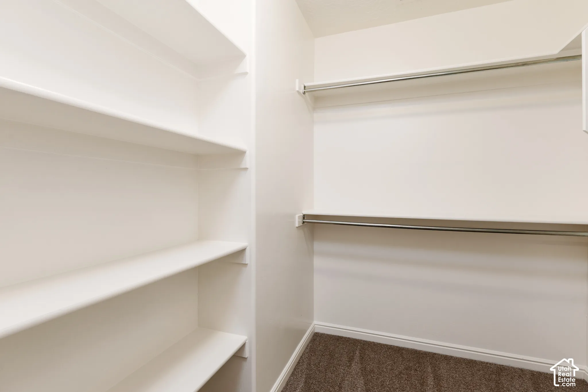 Built-in shelving and hanging rods with carpeted flooring