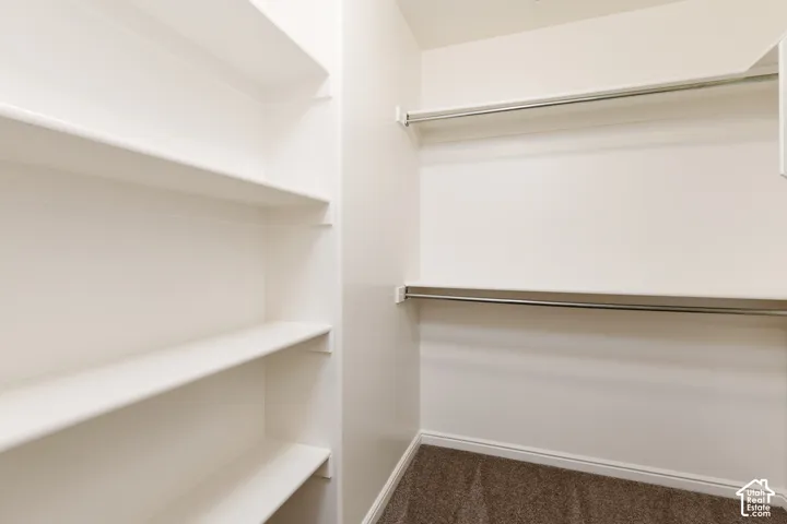 Built-in shelving and hanging rods with carpeted flooring