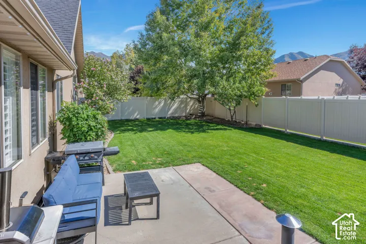 Expansive green lawn with mature trees and a privacy fence
