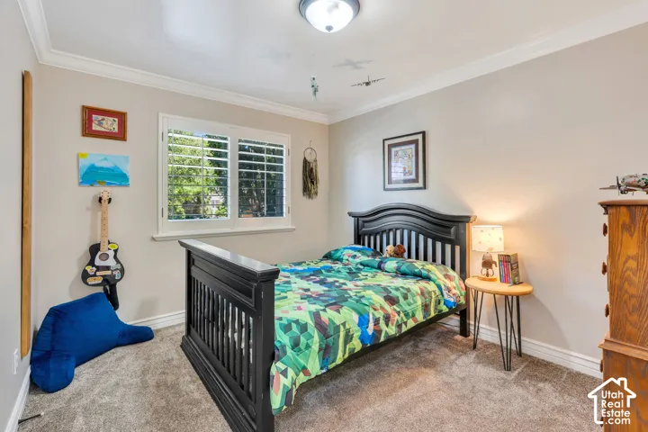 Neutral wall paint, crown molding, double window with plantation shutters, ceiling-mounted light fixture, and textured carpet flooring
