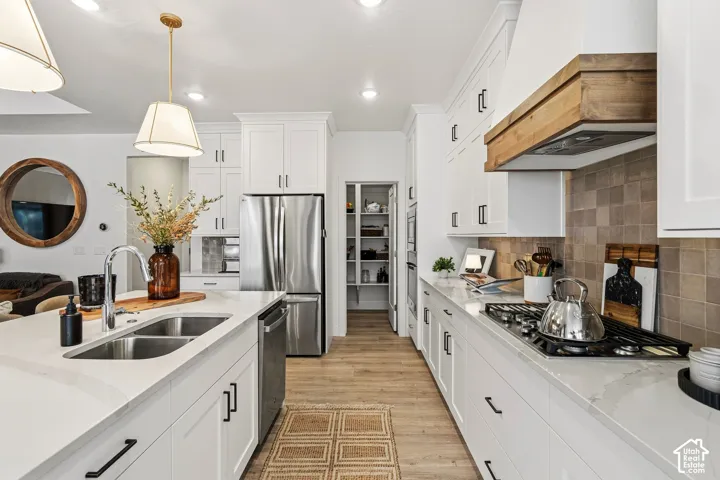 White cabinetry, stainless steel appliances, wood-finish flooring, island with a double basin sink, and a pantry with shelving