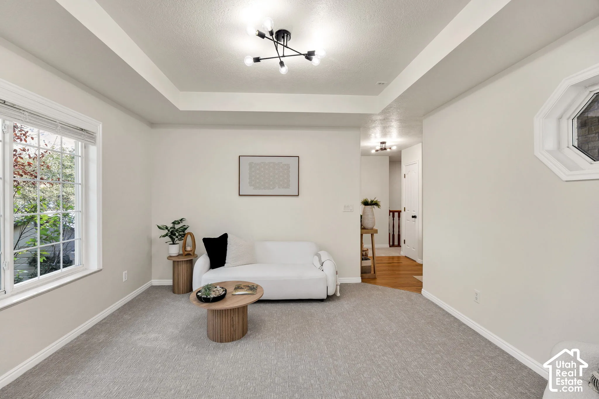 Tray ceiling with a modern black ceiling fixture, large window with white blinds, octagonal accent window, and light gray carpet flooring