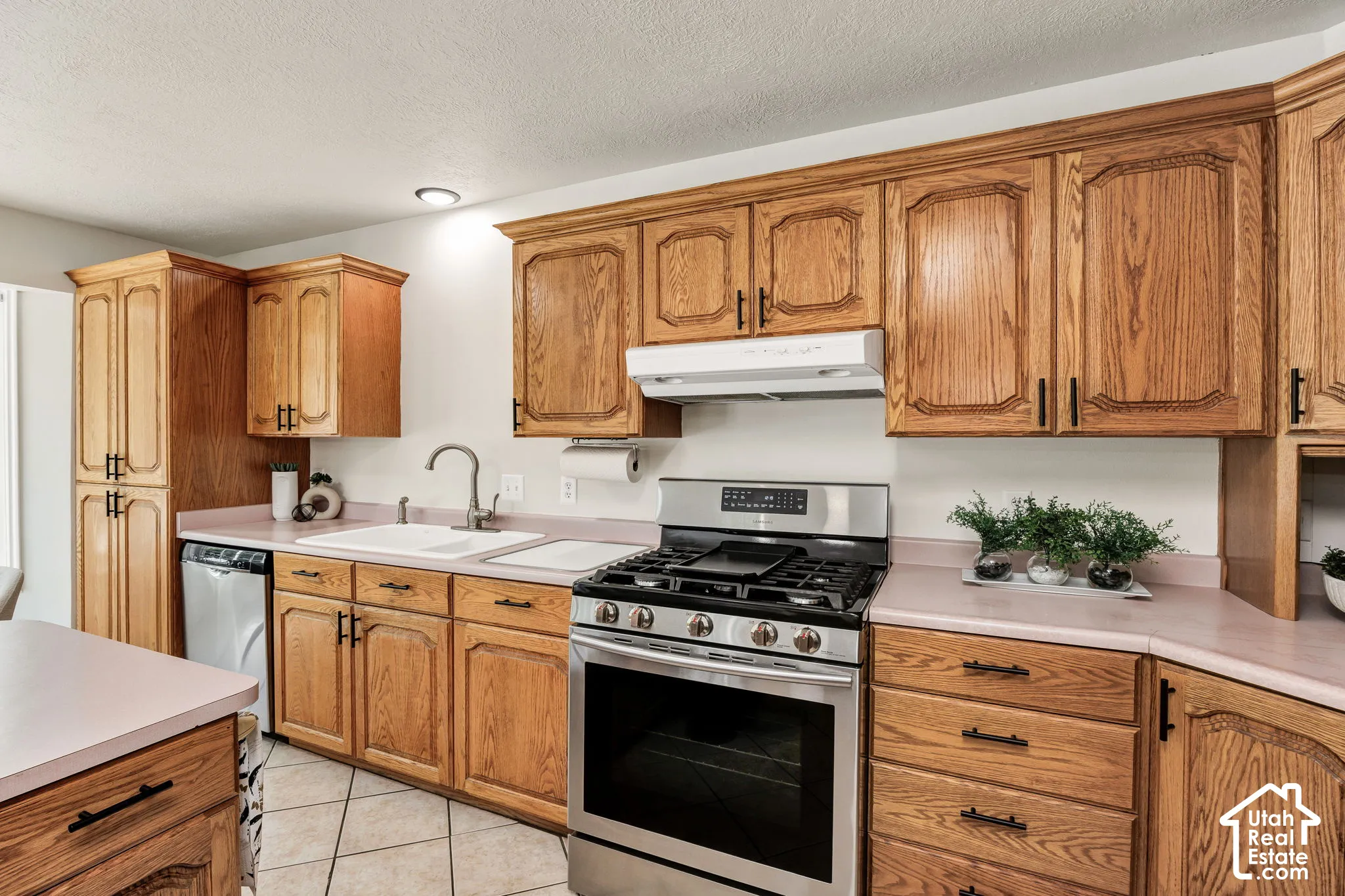 Wood cabinetry throughout, stainless steel range, built-in dishwasher, dual basin sink, and tile flooring