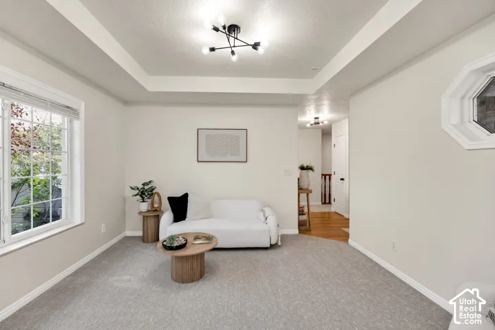 Tray ceiling with a modern black ceiling fixture, large window with white blinds, octagonal accent window, and light gray carpet flooring