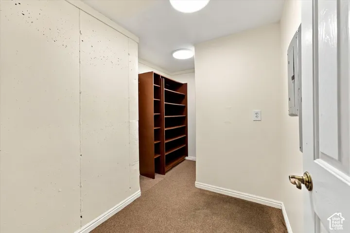 ADU Basement - Built-in wood-finish shelving, wall-mounted electrical panel, overhead lighting, and carpeted flooring