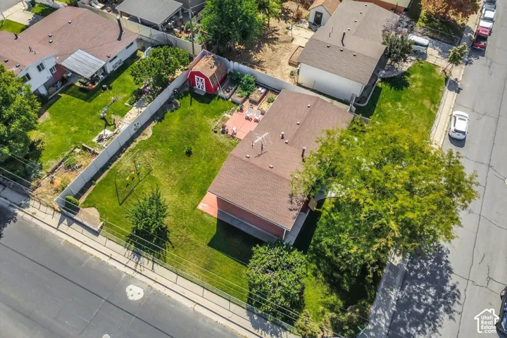Expansive backyard featuring a manicured lawn, established trees, and a red garden shed
