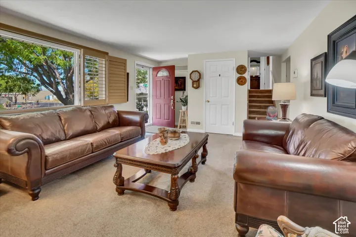 Expansive window with plantation shutters, light neutral wall color, and carpeted flooring throughout