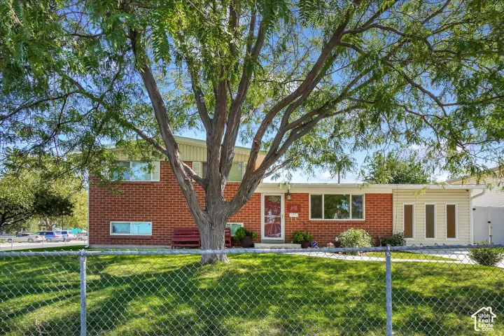 Brick exterior with vertical siding accent, mature front yard tree, and front entry with storm door