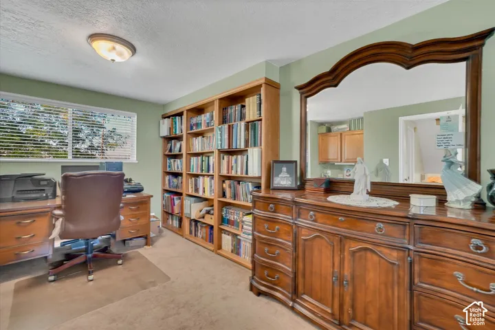 Built-in wood-finish shelving, overhead flush-mount lighting, and wall-to-wall carpeting