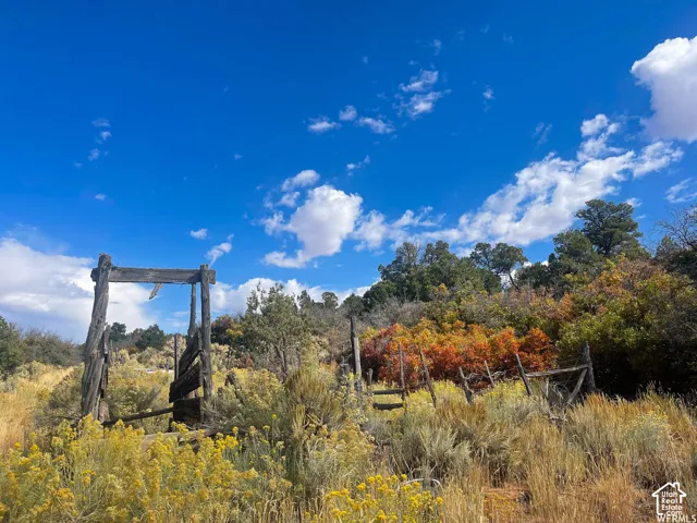 173 Cty Rd 343 Bartons Rd, Monticello, Utah 84535