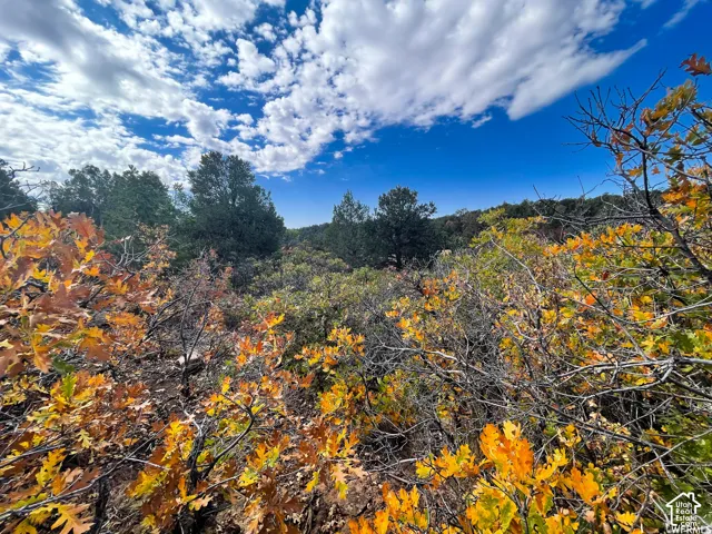 173 Cty Rd 343 Bartons Rd, Monticello, Utah 84535