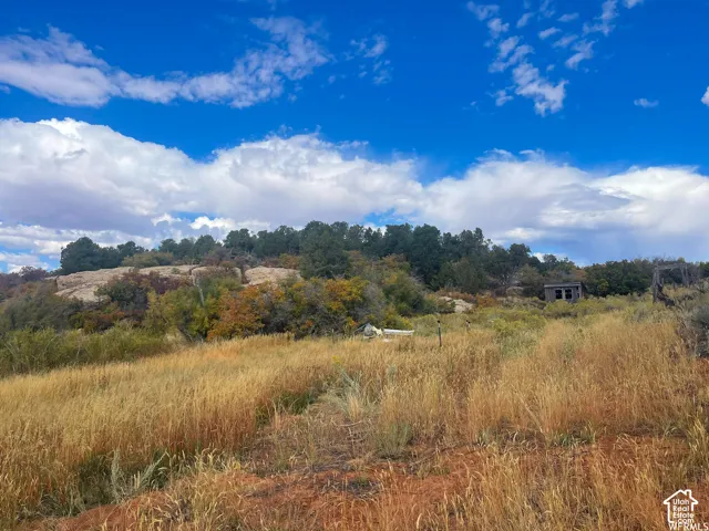173 Cty Rd 343 Bartons Rd, Monticello, Utah 84535