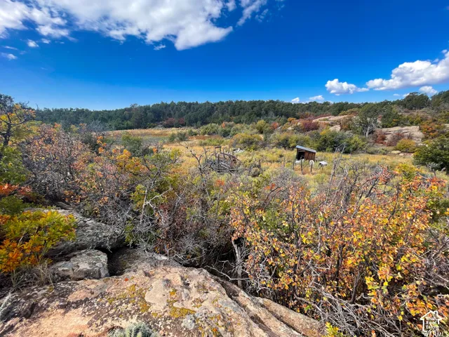 173 Cty Rd 343 Bartons Rd, Monticello, Utah 84535