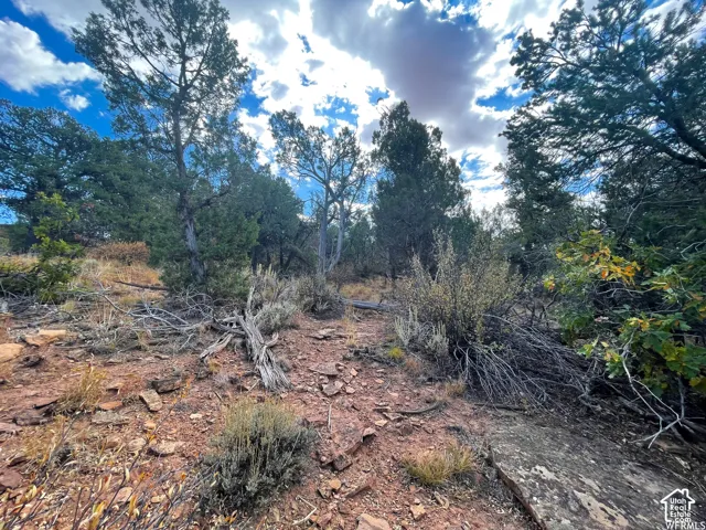 173 Cty Rd 343 Bartons Rd, Monticello, Utah 84535