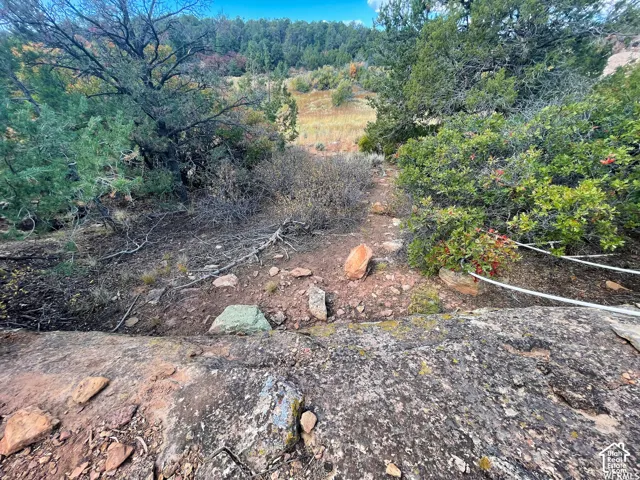 173 Cty Rd 343 Bartons Rd, Monticello, Utah 84535