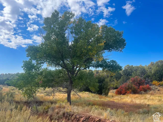 173 Cty Rd 343 Bartons Rd, Monticello, Utah 84535
