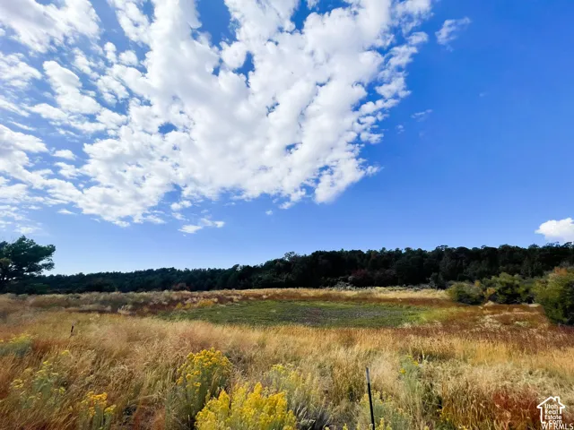 173 Cty Rd 343 Bartons Rd, Monticello, Utah 84535