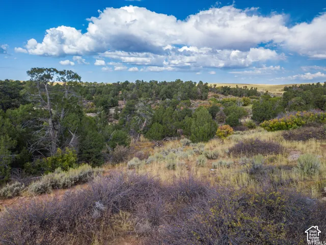 173 Cty Rd 343 Bartons Rd, Monticello, Utah 84535