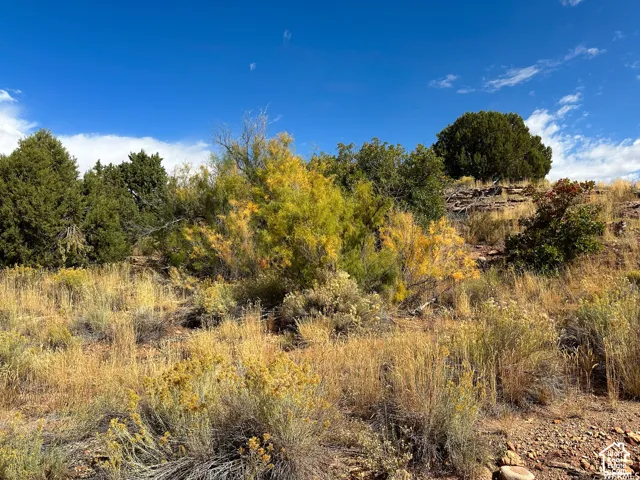 173 Cty Rd 343 Bartons Rd, Monticello, Utah 84535