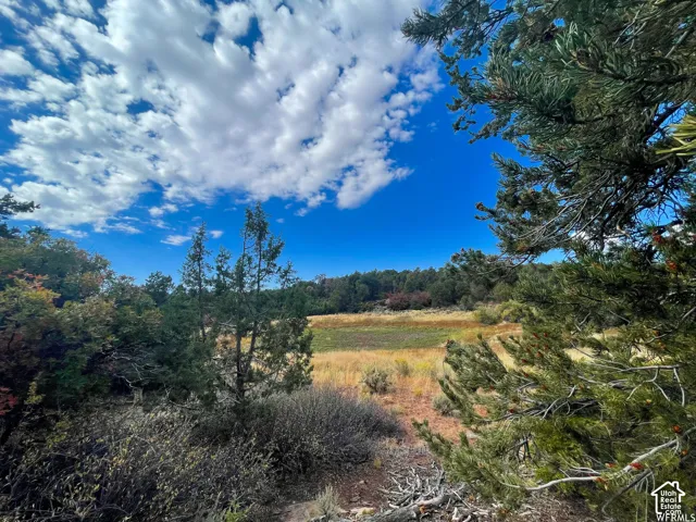 173 Cty Rd 343 Bartons Rd, Monticello, Utah 84535