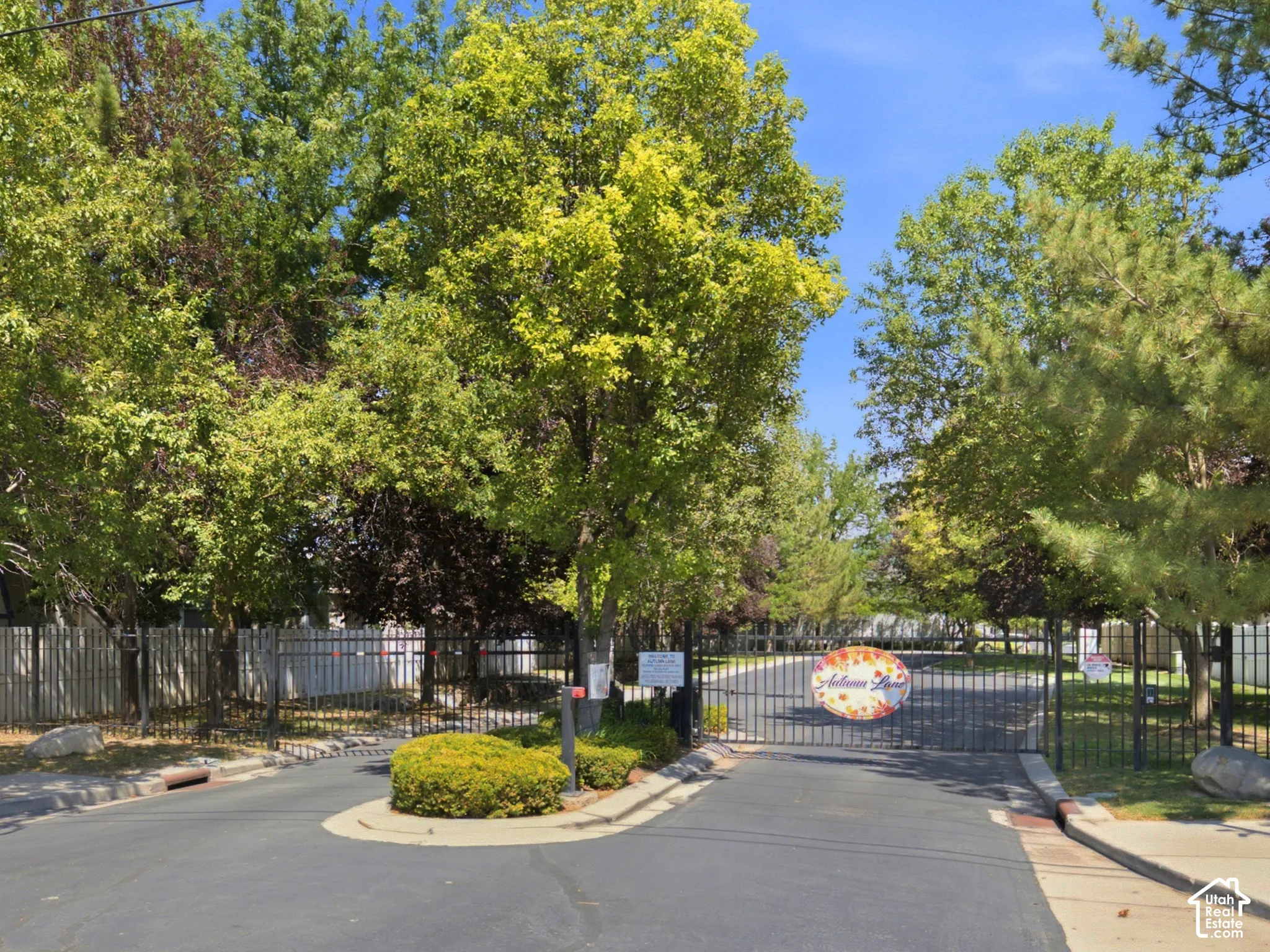 Gated entrance featuring wrought iron fencing, mature trees, and a street lamp