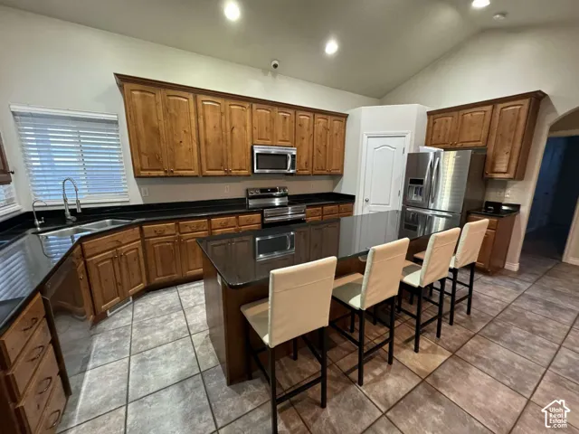 Kitchen featuring wood cabinetry, dark countertops, stainless steel appliances, and tile flooring