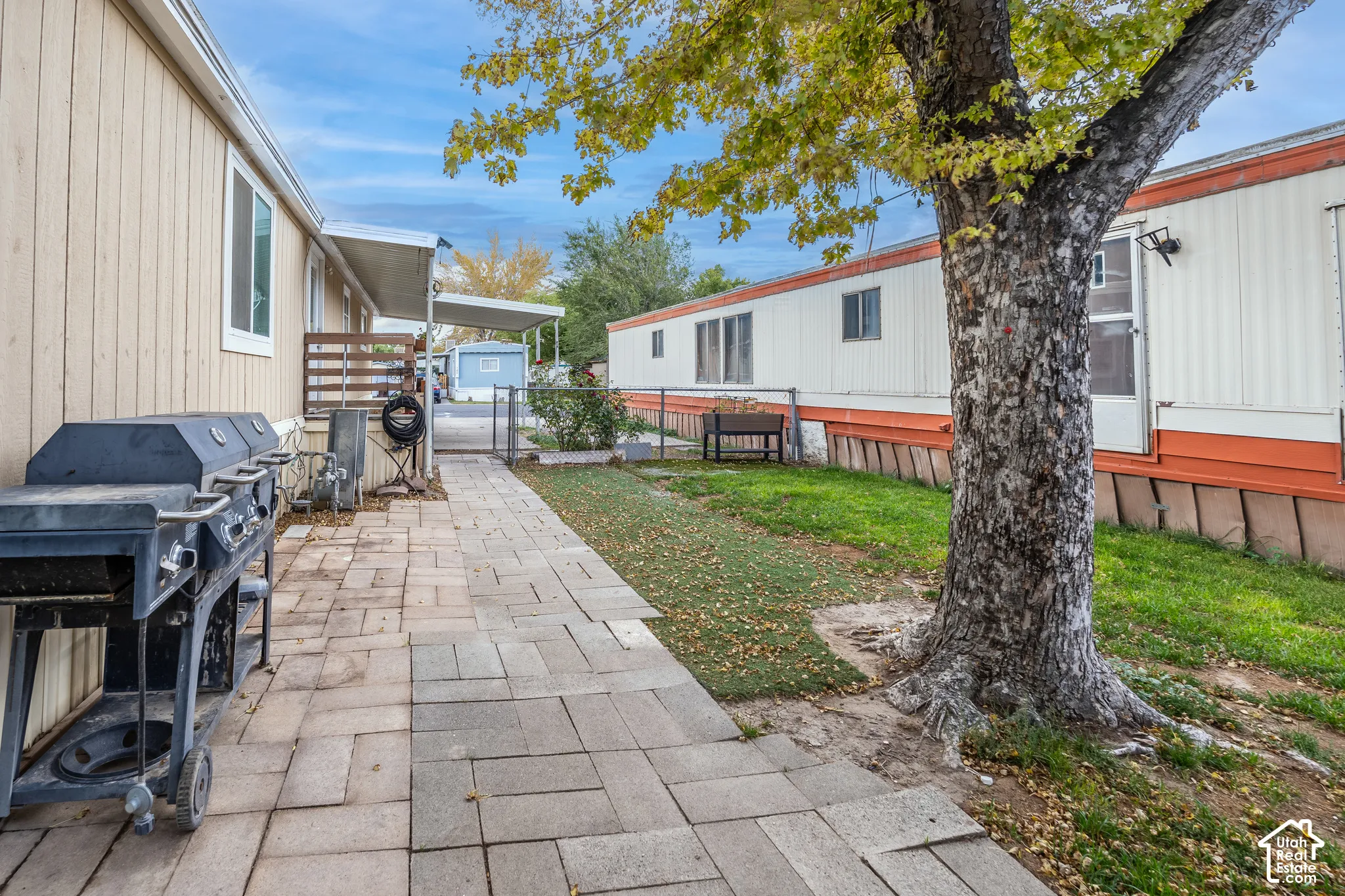 Paved patio area, mature tree, and green space