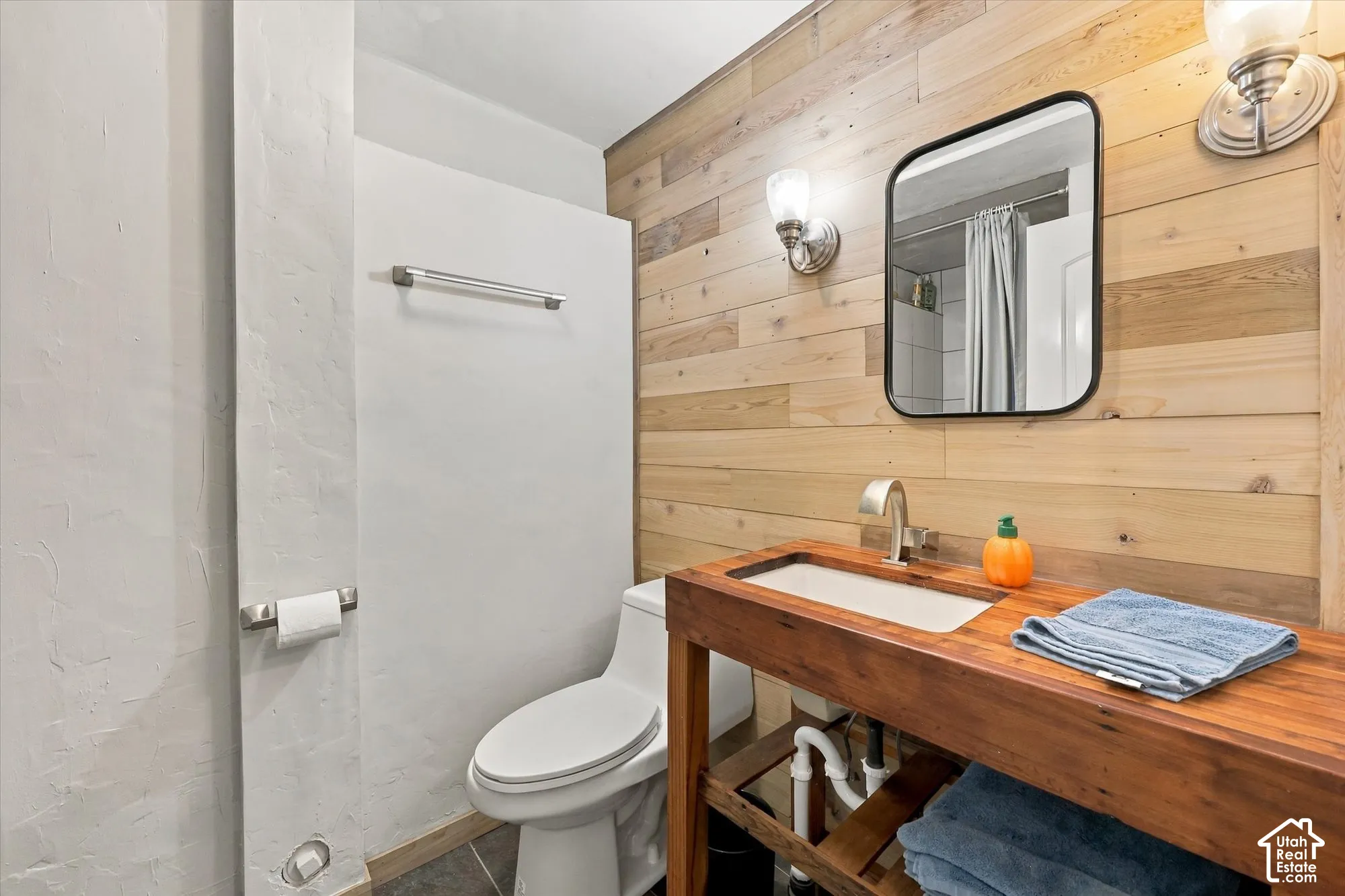 Wood-paneled accent wall with sconce lighting, a framed mirror, and a built-in wood vanity with an integrated sink and brushed nickel faucet