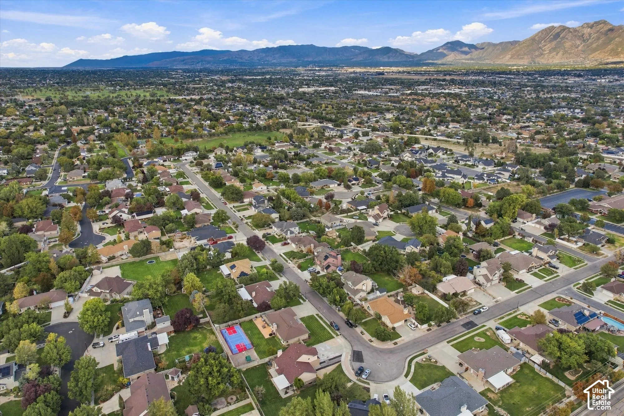 Expansive neighborhood with mature trees, established residential properties, and distant mountain scenery