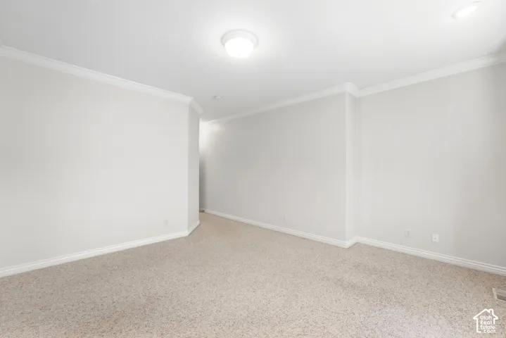 Neutral-toned carpeting, white walls, crown molding, and a flush-mount ceiling light