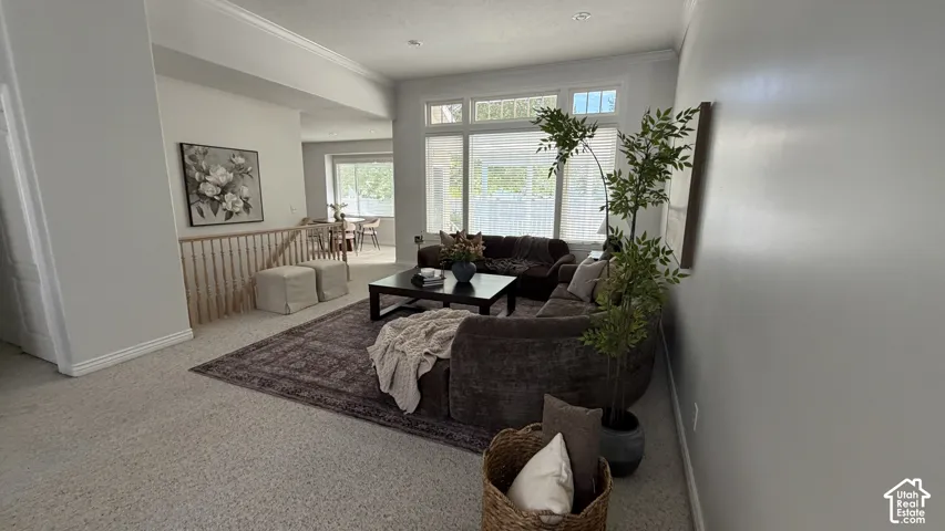 Spacious living area with high ceilings, large windows providing natural light, and plush carpeting
