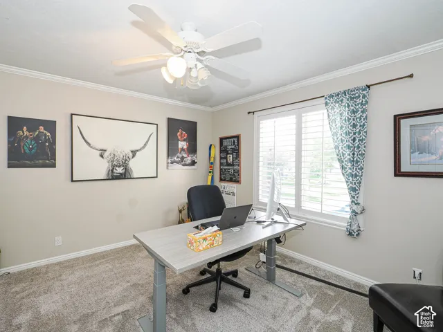 Carpeted flooring, ceiling fan with integrated lighting, crown molding, window with plantation shutters