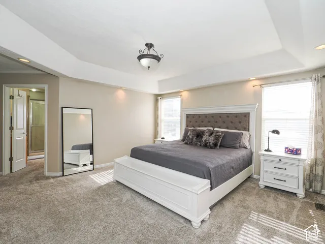 Tray ceiling with recessed lighting and a central fixture