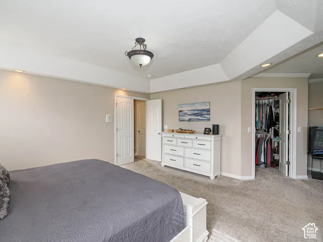 Recessed lighting, ceiling-mounted light fixture, walk-in closet with built-in shelving, white paneled doors, and carpet flooring