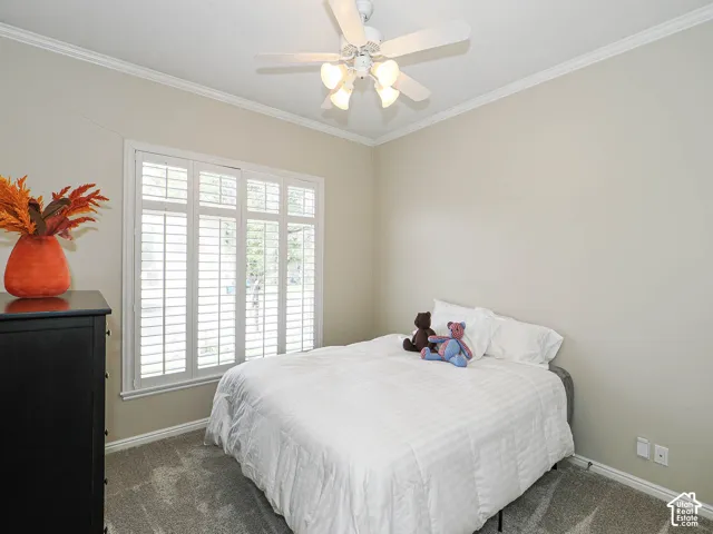 White plantation shutters, crown molding, ceiling fan with integrated lighting, and neutral wall tones