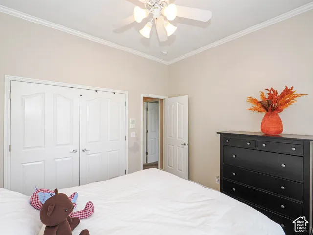 White panel doors, crown molding, and a ceiling fan with integrated lighting