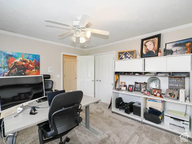 White ceiling fan with integrated lighting, crown molding, double-door closet, and built-in white cabinetry with shelving