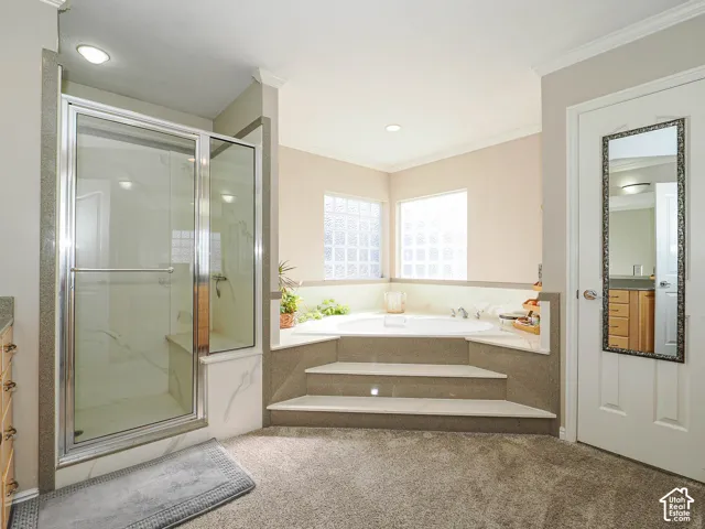 Glass-enclosed shower with a built-in bench, corner soaking tub with stepped access, and privacy glass block windows