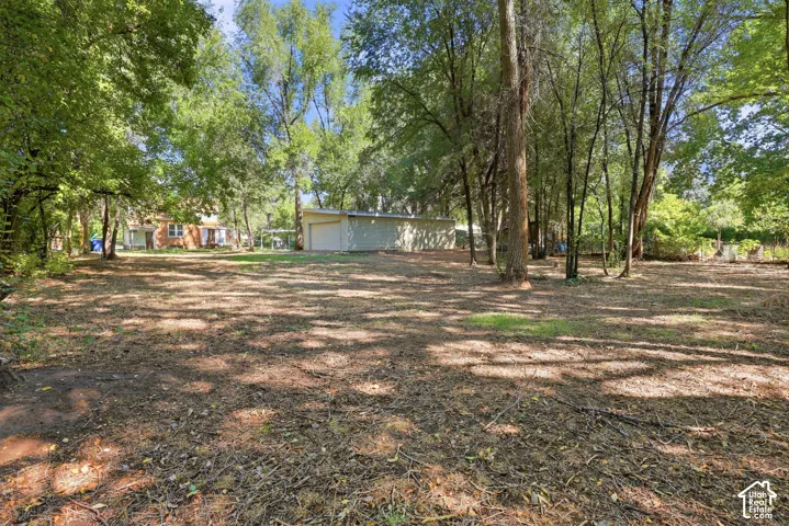 Expansive natural ground cover with mature trees, a detached outbuilding, and a brick exterior structure in the background