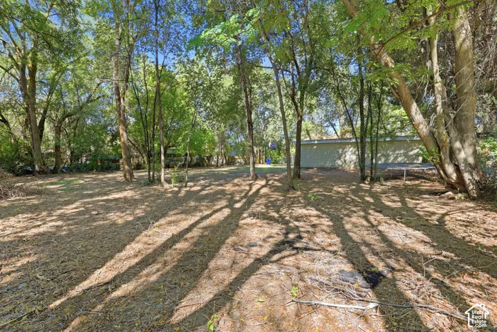Expansive wooded lot featuring mature trees and a detached structure