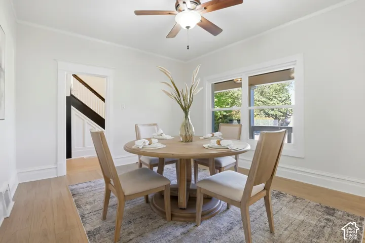 Wood-finish flooring, white crown molding, and a ceiling fan with light fixture