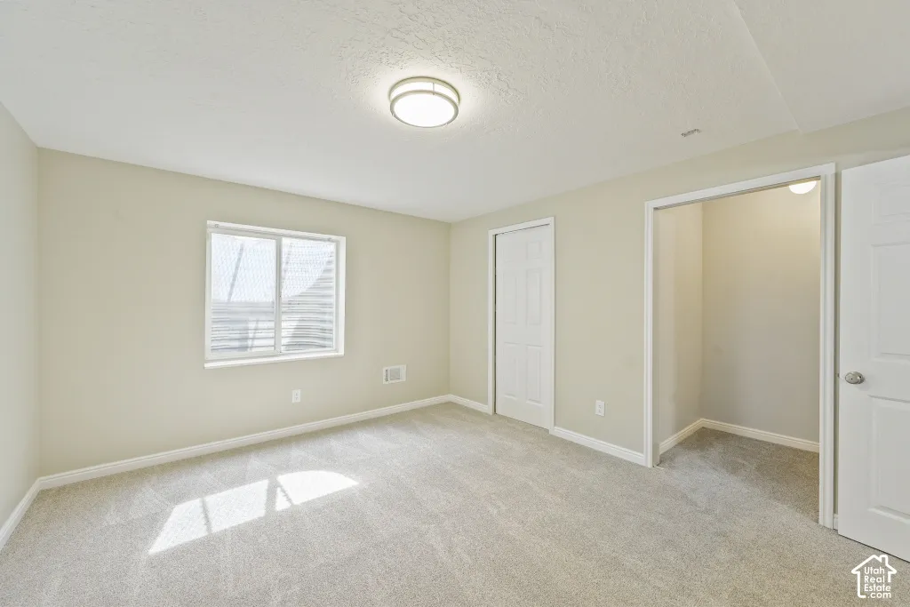 Carpeted room featuring a window with horizontal blinds, a white flush-mount ceiling light, a built-in closet with sliding doors, and an additional white panel door