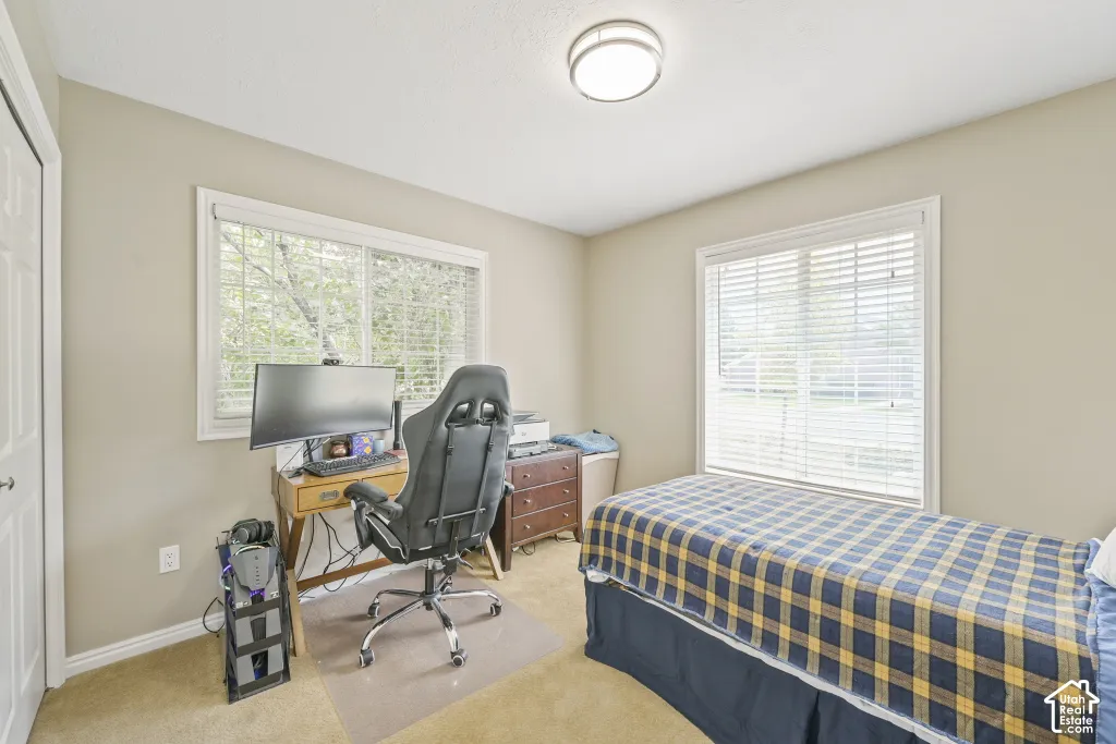 Wall-to-wall carpeting with multiple windows and a flush-mount ceiling light